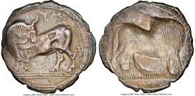LUCANIA. Sybaris. Ca. 550-510 BC. AR stater or nomos (26mm, 7.39 gm, 12h). NGC XF 4/5 - 2/5, die shift. Bull standing left, head right, on beaded doub...