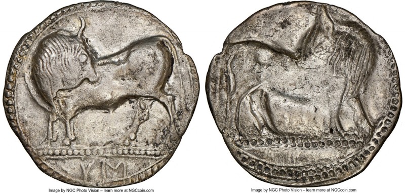 LUCANIA. Sybaris. Ca. 550-510 BC. AR stater or nomos (29mm, 6.99 gm, 12h). NGC (...