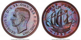 George VI Proof 1/2 Penny 1937 PR66+ Brown PCGS, KM844, S-4115. Florescent blue sheen evenly distributed to this gem. 

HID09801242017

© 2020 Her...