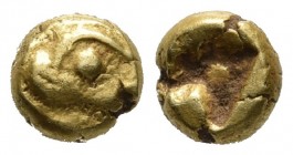 Ionia, uncertain mint (Phokaia?), EL 1/24 stater, ca. 625-550 BC
Head of seal (?) left
Irregular incuse punch
Rosen 334.
5.9mm / 0.65g