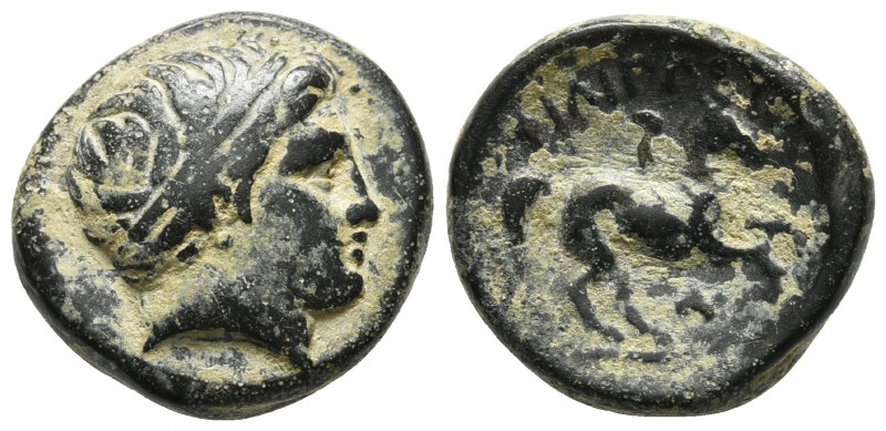 Macedonian Kings, Philip II 359-336 BC, AE, uncertain Macedonian mint 
Diademed ...