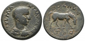 Troas, Alexandria, Maximus as caesar 235-238 AD, AE
Bare, draped and cuirassed bust of Maximus right
Horse grazing right
Bellinger A377
24.3mm / 9.6g