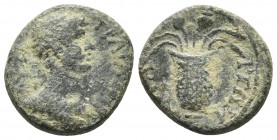 Aeolis, Elaea, Hadrianus 117-138 AD, AE
Laureate and cuirassed bust of Hadrianus right
Basket with poppies and corn-ears
RPC III 1885-6
15.4mm / 2.1g