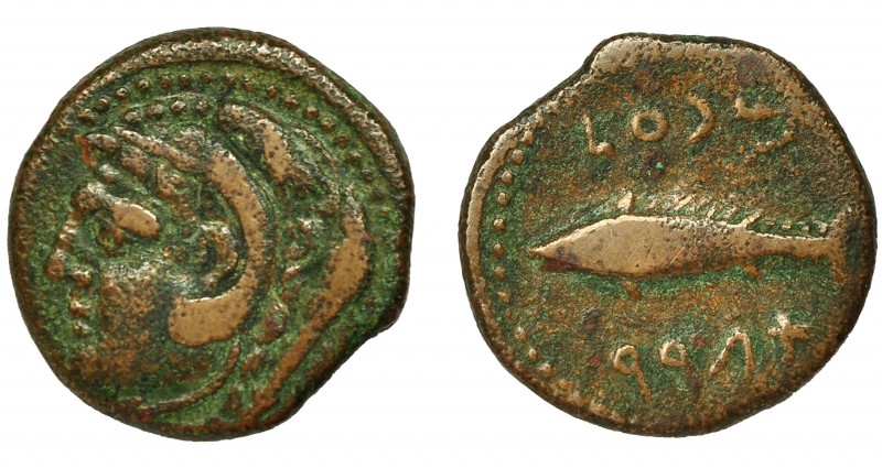 HISPANIA ANTIGUA. GADIR. Mitad. R/ Atún a izq., encima mp'l, debajo 'gdr. AE 3,6...