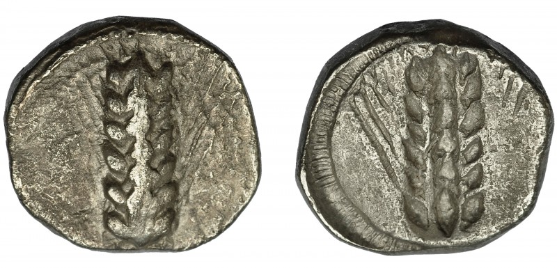 GRECIA ANTIGUA. LUCANIA. Metaponto. Nomos (470-440 a.C.). A/ Espiga. R/ Espiga i...