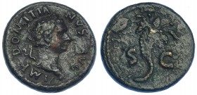 IMPERIO ROMANO. DOMICIANO. Semis. Roma (81-82). A/ Busto laureado a der.; IMP DOMITIANVS AVG. R/ Cornucopia, SC. AE 5,32 g. 19 mm. RIC-122. Pátina osc...