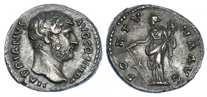 IMPERIO ROMANO. ADRIANO. Denario. Roma (134-138). A/ Cabeza laureada a der. R/ F...