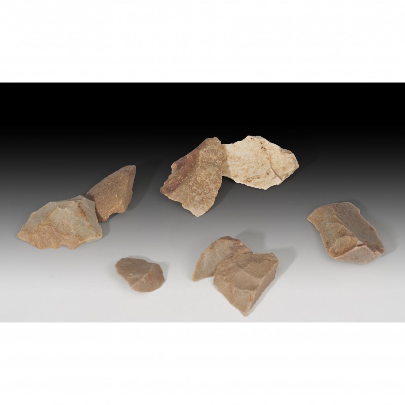 PREHISTORIA. Lote de ocho útiles líticos (Musteriense, 80.000 a.C.). Cuarcita. L...