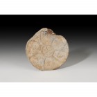 EDAD MODERNA. Placa circular (XV-XVI d.C.). Plomo. Cruz central e inscripción alrededor. Diámetro 4,1 cm.