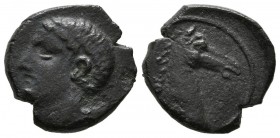 CARTAGONOVA (Cartagena, Murcia). 1/4 Calco. (Ae. 2,42g/15mm). 220-205 a.C. (FAB-554). Anv: Cabeza masculina a izquierda. Rev: Cabeza de caballo a dere...