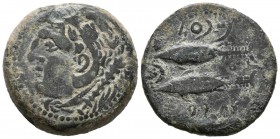 GADES (Cádiz). As. (Ae. 11,54g/26mm). 100-20 a.C. Anv: Cabeza de Hércules a izquierda, detrás clava. Rev: Dos atunes a izquierda, arriba y debajo leye...