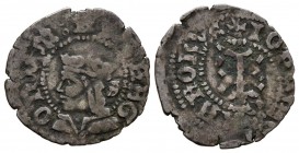JUANA y CARLOS (1504-1555). Dinero. (Ve. 0,67g/18mm). Zaragoza. (Cal-2019-7). S detrás del busto. MBC-.