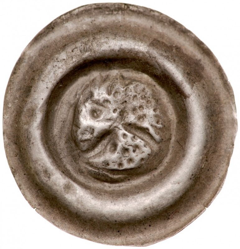 Śląsk, Brakteat szeroki XIII w., Av.: Łeb konia. Kop. 7049my, Friedensburg 759, ...