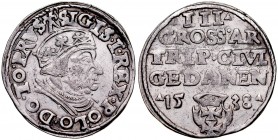 Zygmunt I Stary 1506-1548, Trojak 1538, Gdańsk.