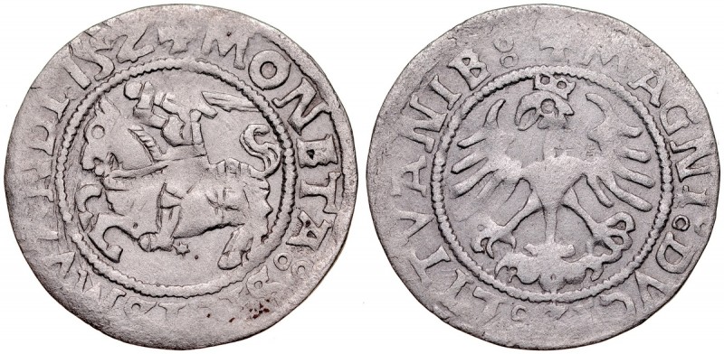 Zygmunt I Stary 1506-1548, Półgrosz 1524, Wilno. Kop. 3170, Gum. 512, patyna, rz...