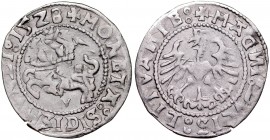 Zygmunt I Stary 1506-1548, Półgrosz 1528 V, Wilno.