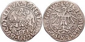 Zygmunt II August 1545-1572, Półgrosz 1551, Wilno. RRR.
