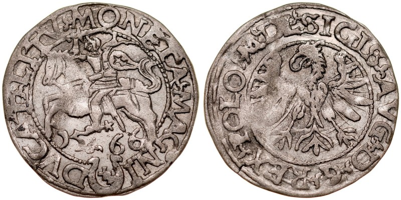 Zygmunt II August 1545-1572, Półgrosz 1566, Tykocin. RR. Kop. 3274, Ivanauskas -...