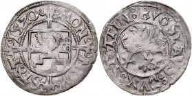 Pomorze, Bogusław X 1478-1523, Szeląg 1520, Szczecin.