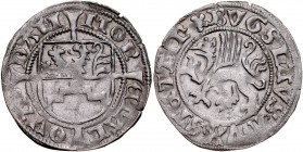 Pomorze, Bogusław X 1478-1523, Szeląg bez daty, Dąbie.