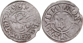 Pomorze, Bogusław X 1478-1523, Wit 1511/0A, Szczecin.