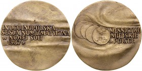 Medal odlewany autorstwa Haliny Kozłowskiej-Bodek wydany w 1987 roku z okazji IX Sesji Numizmatycznej w Nowej Soli.