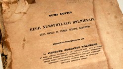 NUMI CUFICI. Author: Carolus Johannes Tornberg, Edition: 1848. 314 Pages. Without outer covers and time stains. Usual preservation in which these copi...