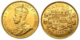 CANADA. Giorgio V (1910-1936) - 10 dollari 1914. Busto coronato a s. R/ Stemma. Krause 27. g. 16,72. oro q.SPL

Nota per i commercianti:  nel prezzo...