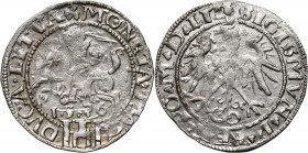 Zygmunt I Stary, grosz litewski 1536 I, Wilno