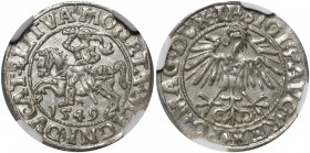 Zygmunt II August, półgrosz 1549, Wilno MAX