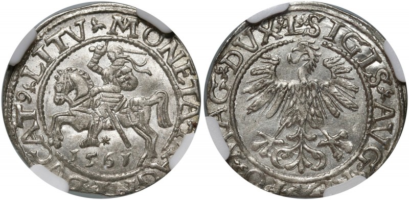 Zygmunt II August, półgrosz 1561, Wilno Piękny. Najwyższa nota w NGC i zarazem j...