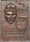 Wolne Miasto Gdańsk, plakieta z 1934 roku, Zawody samochodowe 10.06.1934