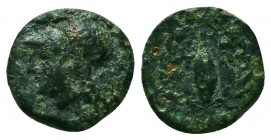 AEOLIS. Elaia. Ae (4th century BC). 

Condition: Very Fine

Weight: 1.0 gr
Diameter: 11.1 mm