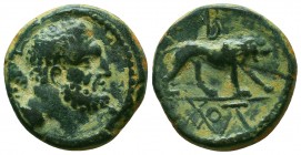 KINGS OF GALATIA. Amyntas (36-25 BC). Ae. Dated RY 5 (31/0).
Obv: Head of Herakles right, with club over shoulder; ЄC to left.
Rev: Lion standing ri...