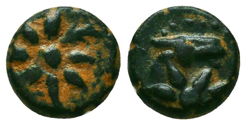 PONTOS. Uncertain. Ae (Circa 130-100 BC).
Obv: Head of Horse right, star on nec...