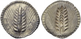 Lucania, Metapontion, Stater, c. 540-510 BC