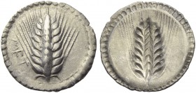 Lucania, Metapontion, Stater, c. 540-510 BC