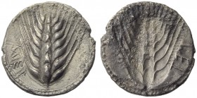 Lucania, Metapontion, Drachm, c. 540-510 BC