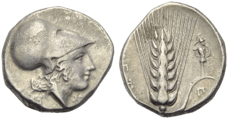 Lucania, Metapontion, Stater, c. 340-330 BC; AR (g 7,82; mm 21; h 10); Helmeted ...