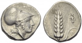 Lucania, Metapontion, Stater, c. 340-330 BC