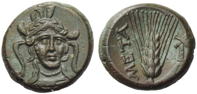Lucania, Metapontion, Bronze, c. 300-250 BC; AE (g 4,50; mm 17; h 2); Head of At...