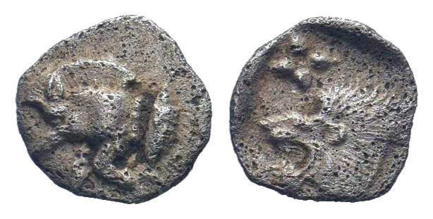 MYSIA. Cyzicus.Circa 500-490 BC.AR Obol.Forepart of boar left, behind, tunny fis...