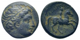 KINGS of MACEDON.Philip II.359-336 BC. Macedon mint.AE Bronze.Head of Apollo right, hair bound with taenia / ΦΙΛΙΠΠΟΥ, Naked rider wearing petasus on ...