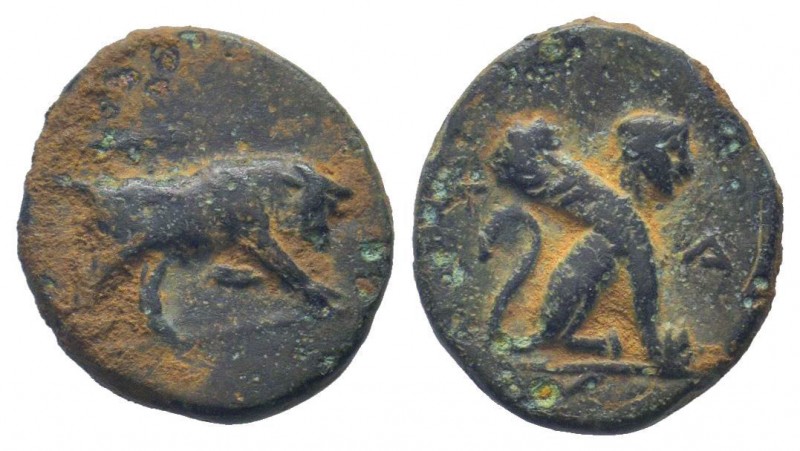 CARIA. Kaunos. IV - III Century BC.AE Bronze. Bull butting / K - A, Seated sphin...