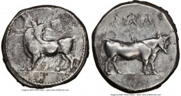 LUCANIA. Laus. Ca. 480-460 BC. AR stater (19mm, 7.74 gm, 3h). NGC VF 5/5 - 2/5, brushed. ΛAS, man-faced bull standing left, head reverted / ΛAS (retro...