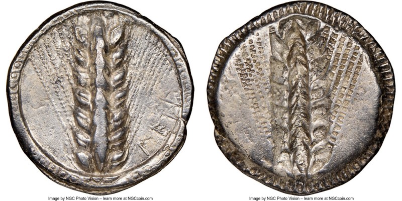 LUCANIA. Metapontum. Ca. 510-470 BC. AR stater (25mm, 7.31 gm, 12h). NGC Choice ...