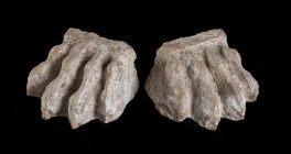 COPPIA DI ZAMPE LEONINE CANOSINE
 III secolo a.C.; largh. l’una cm 11; alt. l’uno cm 5,5; Rara coppia di sostegni in terracotta nella forma di zampe ...