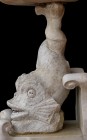 DELFINO MARMOREO RINASCIMENTALE
 Area fiorentina, XVI secolo; alt. cm 57; Raffinata scultura rinascimentale riproducente un delfino, o un tritone, di...