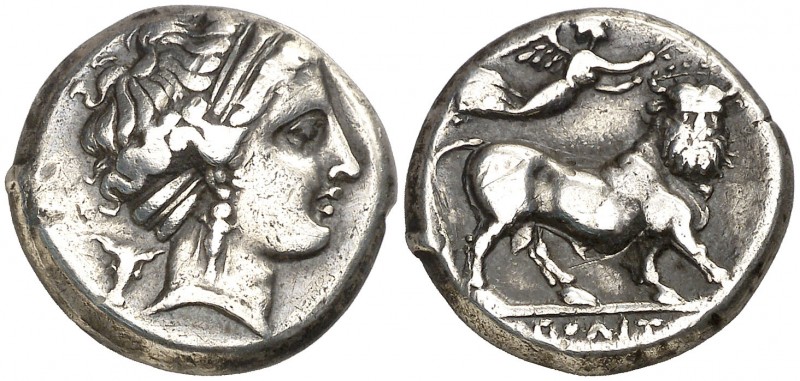 (320-300 a.C.). Italia. Neápolis. Didracma. (S. 307 var) (CNG. I, 451 var). Inci...