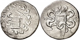 (189-133 a.C.). Lidia. Tralleis. Tetradracma cistóforo. (S. 4747 var) (BMC. XXII, 14). 12,33 g. MBC.